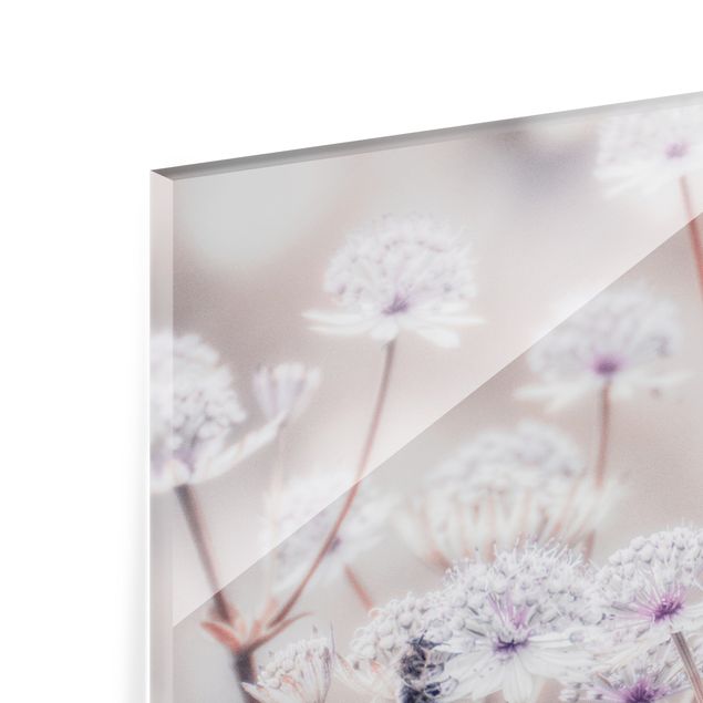 Paraschizzi in vetro - Leggeri fiori selvatici - Formato orizzontale 4:3