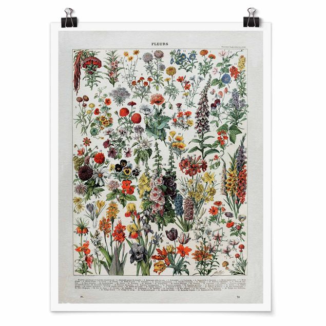 Poster - Vintage Consiglio Flowers IV - Verticale 4:3
