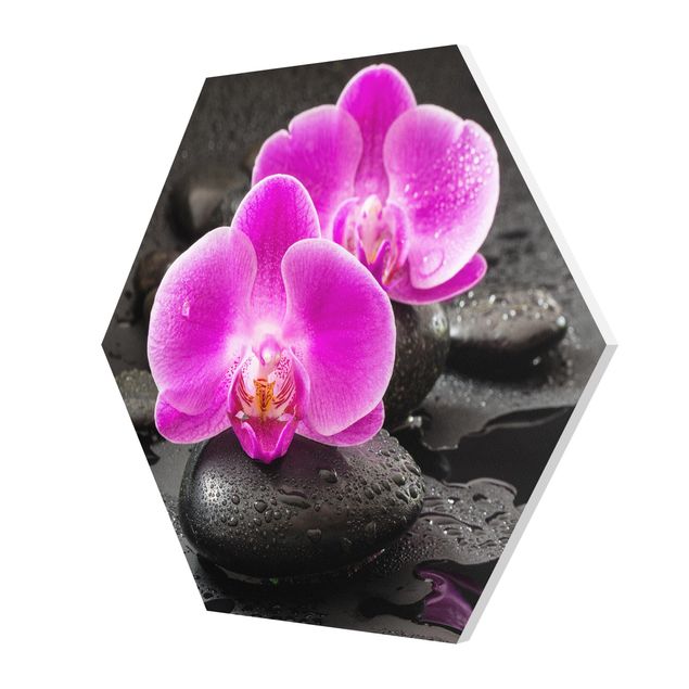 Esagono in forex - Pink Orchid Fiori Sulle Pietre Con Le Gocce