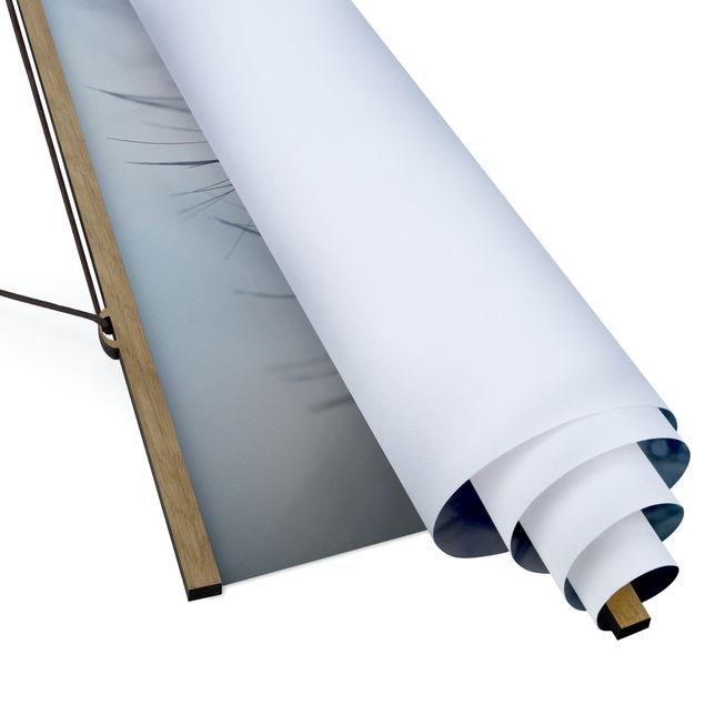 Quadro su tessuto con stecche per poster - Piume blu Sotto La Pioggia - Quadrato 1:1