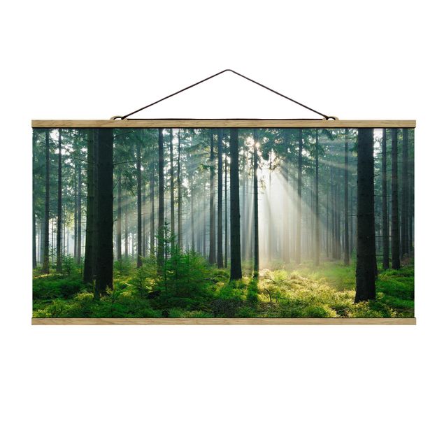 Foto su tessuto da parete con bastone - Enlightened Foresta - Orizzontale 1:2