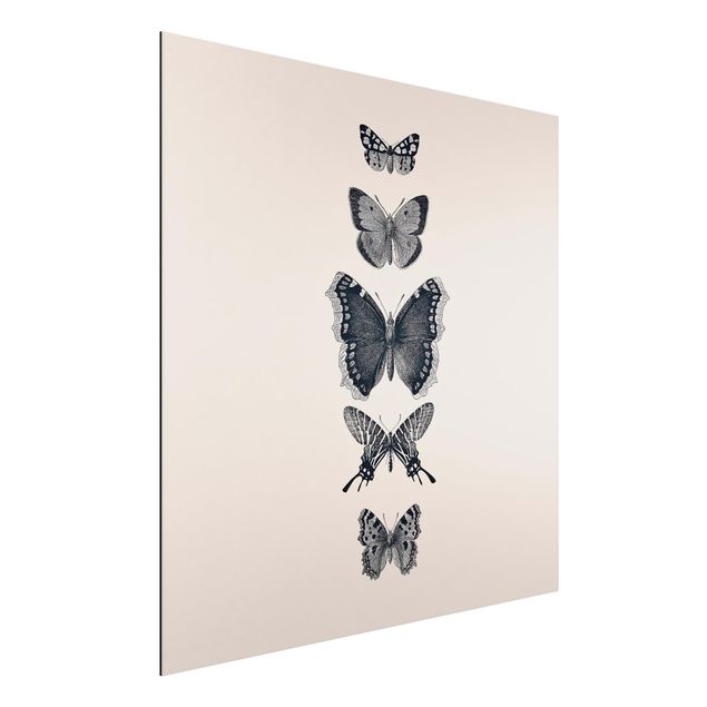quadri con animali Farfalle d'inchiostro su sfondo beige