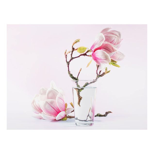 Paraschizzi in vetro - Magnolia in glass