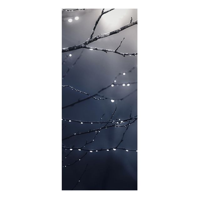 Stampa su alluminio - Gocce di luce su ramo di betulla
