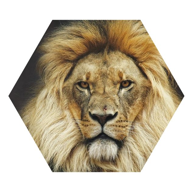 Esagono in forex - Wisdom Of Lion