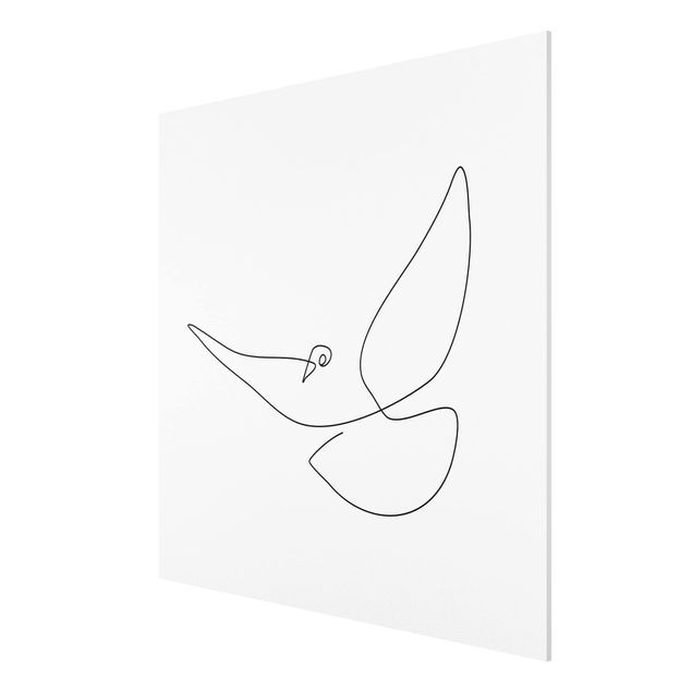 Stampa su Forex - Dove Line Art - Quadrato 1:1
