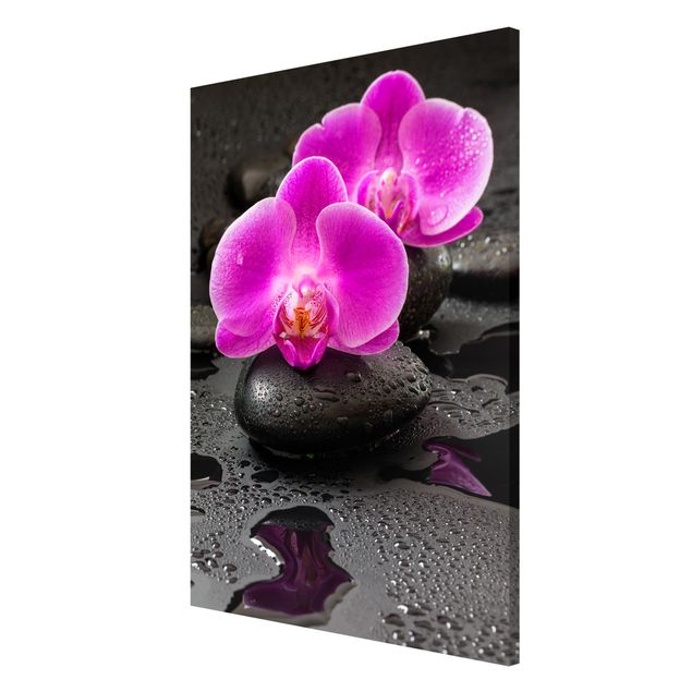 Lavagna magnetica - Pink Orchid Fiori Sulle Pietre Con Le Gocce - Formato verticale 2:3