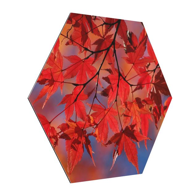 Esagono in Alluminio Dibond - Red Maple