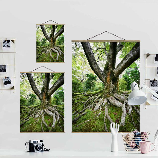 Foto su tessuto da parete con bastone - vecchio albero - Verticale 4:3