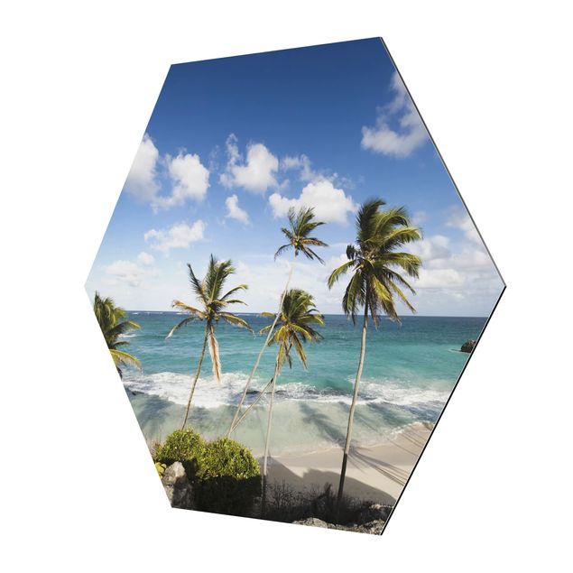 Esagono in Alluminio Dibond - Spiaggia Di Barbados