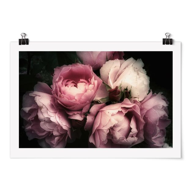 Poster - Peony In The Dark Shabby - Orizzontale 2:3