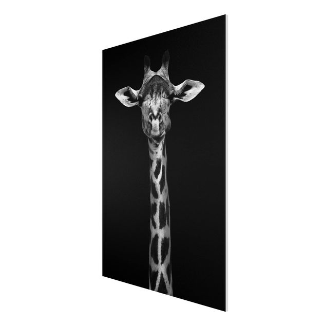 Quadro in forex - Scuro Giraffe Portrait - Verticale 2:3