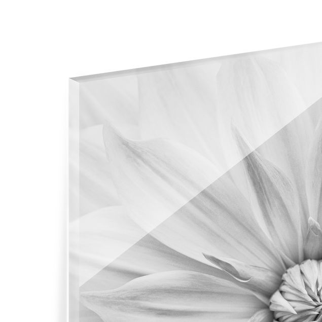 Paraschizzi in vetro - Fiori botanici in bianco - Quadrato 1:1