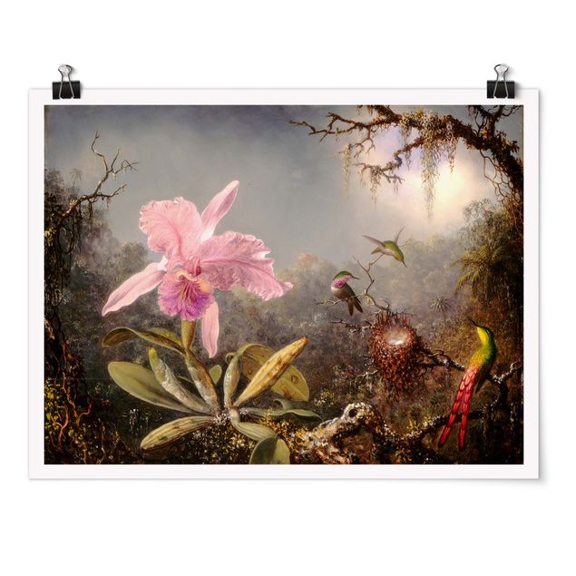 Poster - Martin Johnson Heade - orchidea e Tre colibrì - Orizzontale 3:4