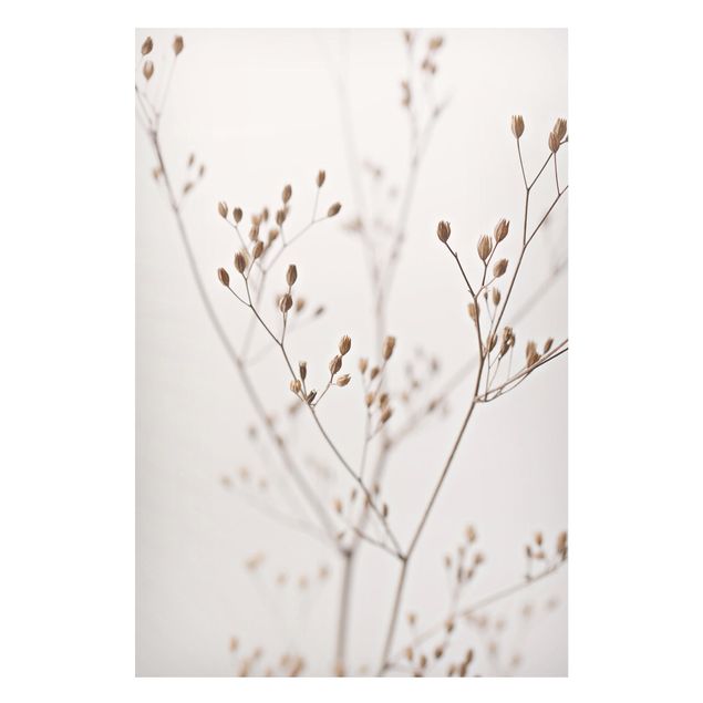 Lavagna magnetica - Delicate gemme su ramo di fiori selvatici
