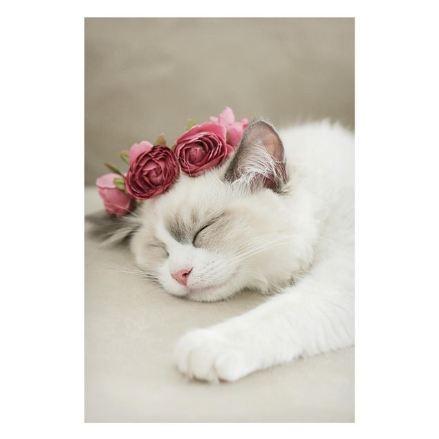 Lavagna magnetica bianco Gatto addormentato con rose