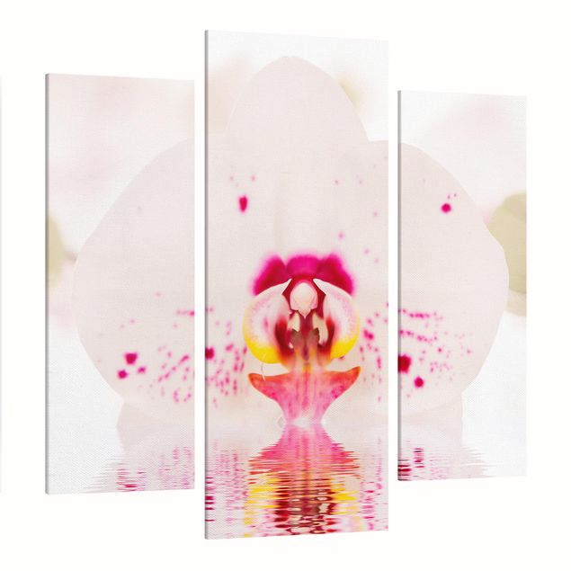Stampa su tela Orchidea punteggiata sull'acqua
