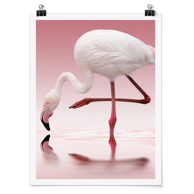 Poster - Flamingo danza - Verticale 4:3