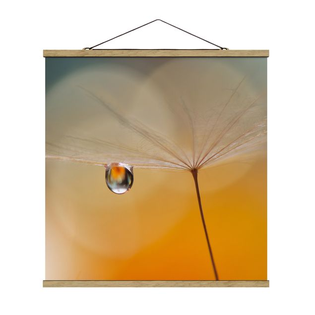 Quadro su tessuto con stecche per poster - Dandelion In Arancione - Quadrato 1:1