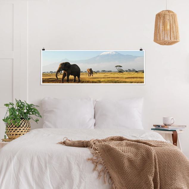 Poster - Elefanti Di Fronte Al Kilimanjaro in Kenya - Panorama formato orizzontale