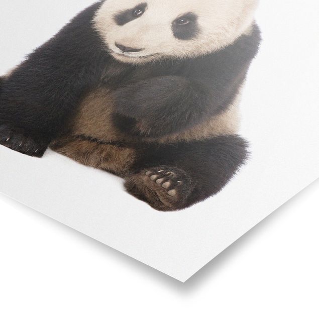 Poster - Panda Paws - Quadrato 1:1