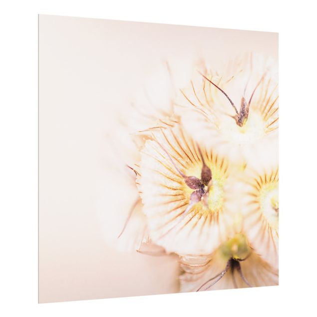 Paraschizzi in vetro - Mazzo di fiori in colori pastello - Quadrato 1:1