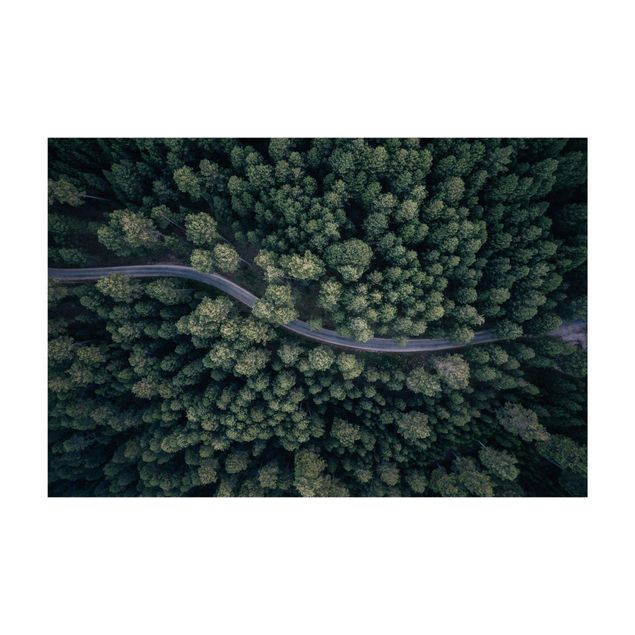 Tappeto verde Vista aerea - Strada forestale dall'alto