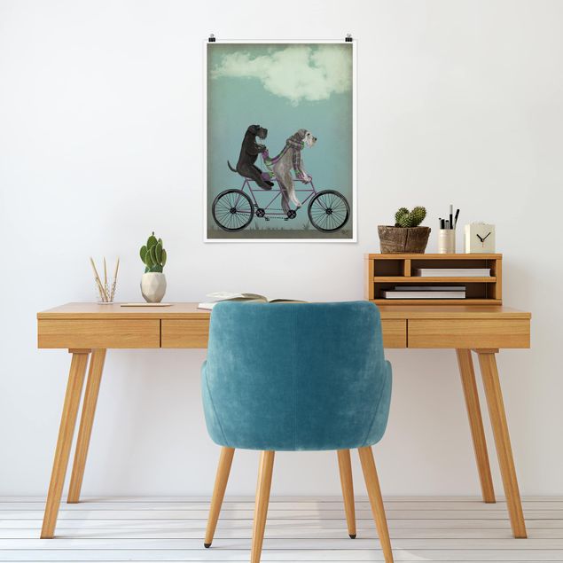 Poster illustrazioni Ciclismo - Schnauzer in tandem