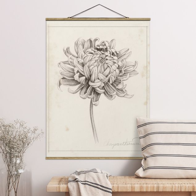 Foto su tessuto da parete con bastone - Botanical Study I Chrysanthemum - Verticale 4:3