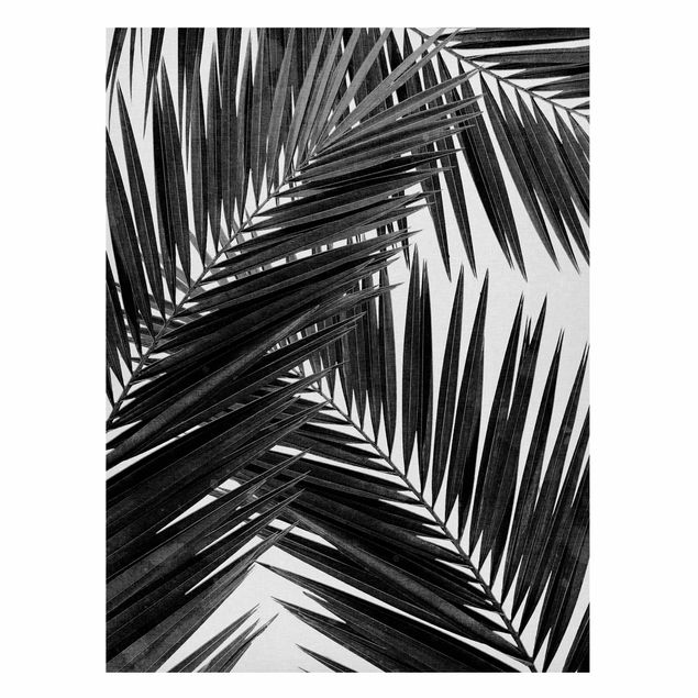 Lavagna magnetica nero Vista sulle foglie di palma in bianco e nero