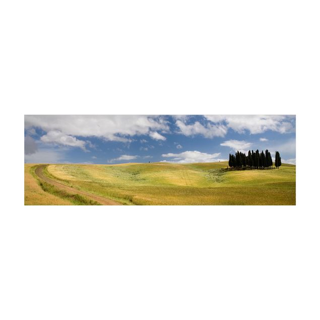 Tappeti effetto naturale Cipressi in Toscana