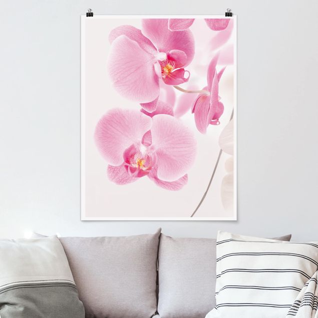 Poster - delicate orchidee - Verticale 4:3
