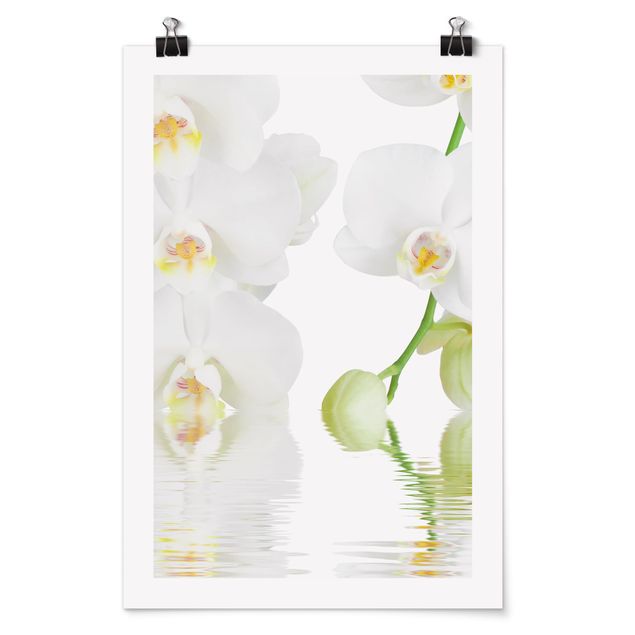 Poster - Orchid Benessere - White Orchid - Verticale 3:2