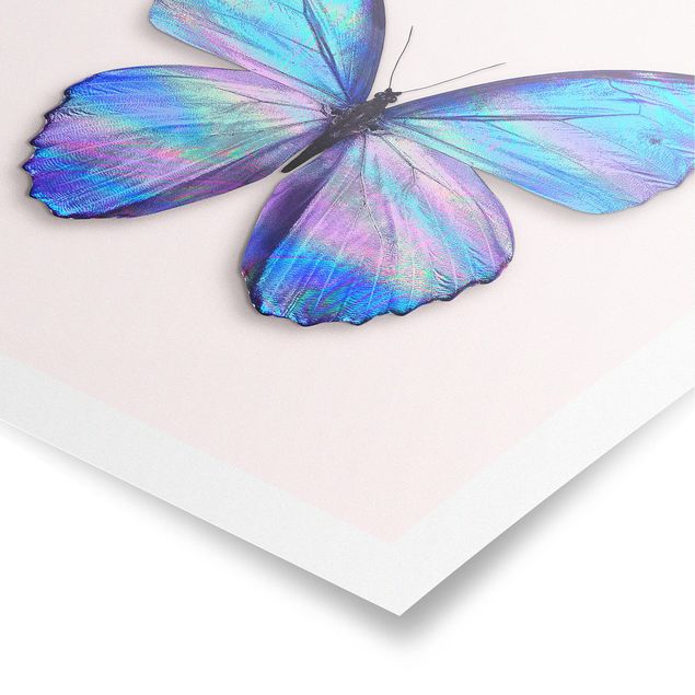 Poster - Holographic farfalla - Quadrato 1:1