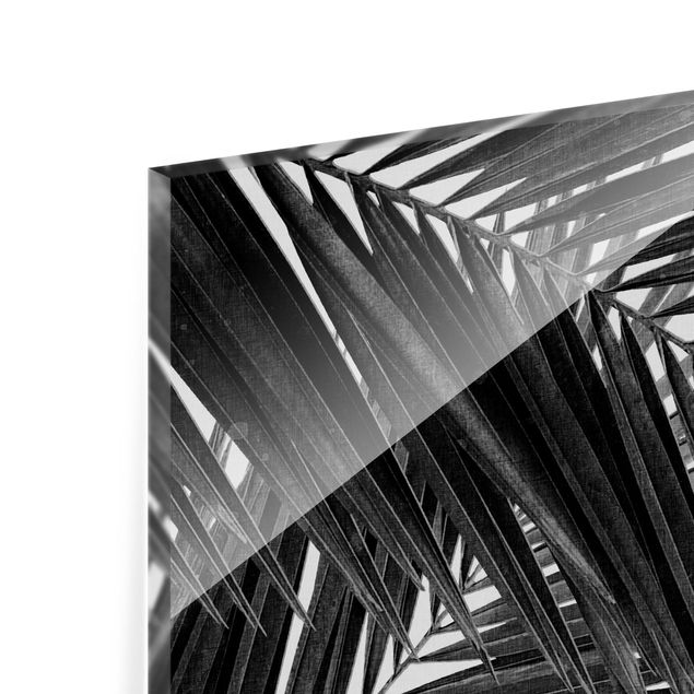 Paraschizzi in vetro - Scorcio tra foglie di palme in bianco e nero - Quadrato 1:1