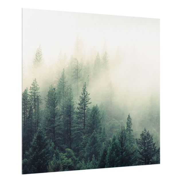 Paraschizzi in vetro - Foresta nebbiosa al risveglio - Quadrato 1:1