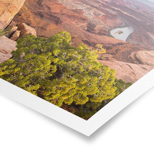 Poster - Parco Nazionale di Dead Horse Point Canyonlands Stati Uniti d'America - Quadrato 1:1
