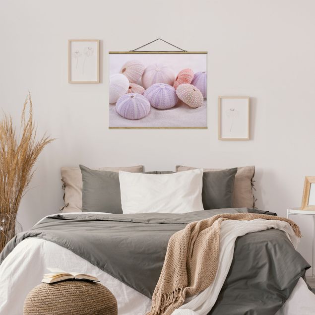 Foto su tessuto da parete con bastone - Urchin In Pastel - Orizzontale 3:4