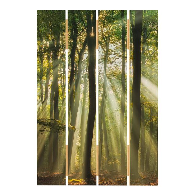 Stampa su legno - Giornata di sole nel Bosco - Verticale 3:2