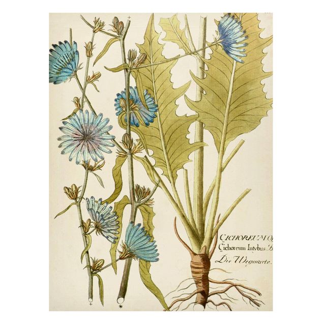 Lavagna magnetica - Vintage Botanica In Blue Cicoria - Formato verticale 4:3