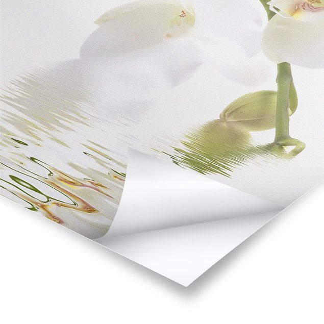 Poster - White Orchid Waters - Verticale 3:2
