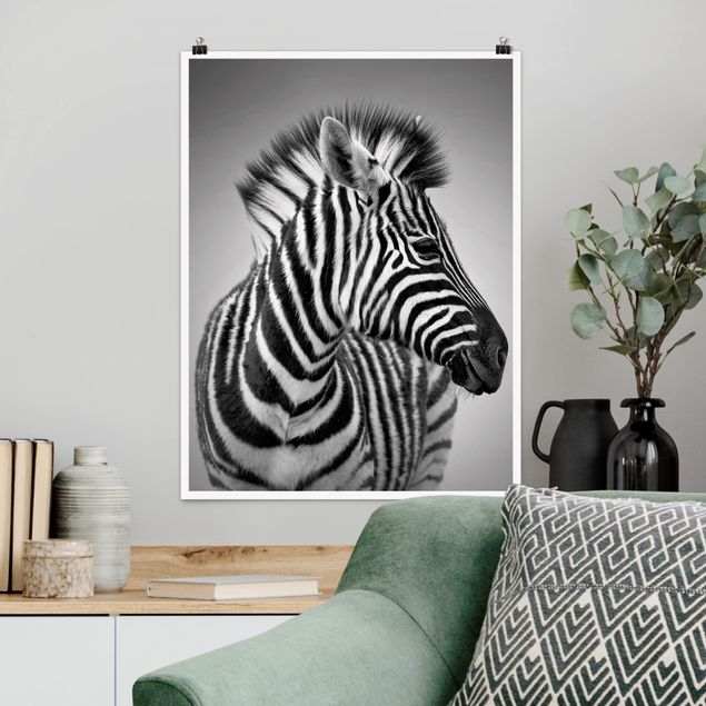 stampe animali Ritratto di piccola zebra II