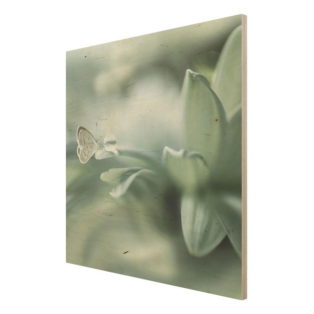 Quadro in legno - Farfalla E Gocce di rugiada In Pastel Verde - Quadrato 1:1