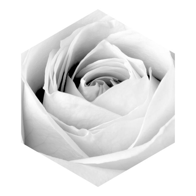 Carta da parati esagonale adesiva con disegni - Primo piano di una rosa