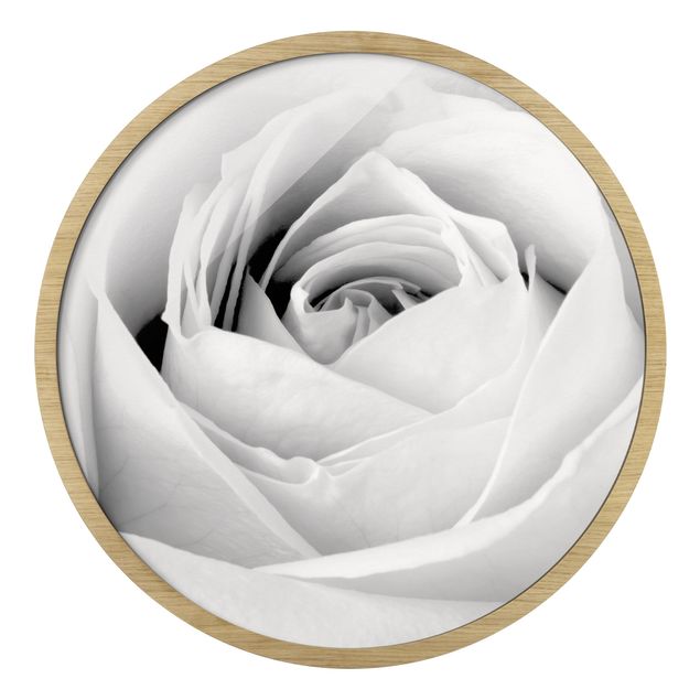 Quadro rotondo incorniciato - Primo piano di una rosa