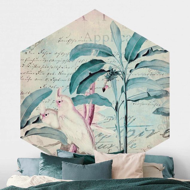 Carta da parati esagonale Collage in stile coloniale - Cacatua e palme