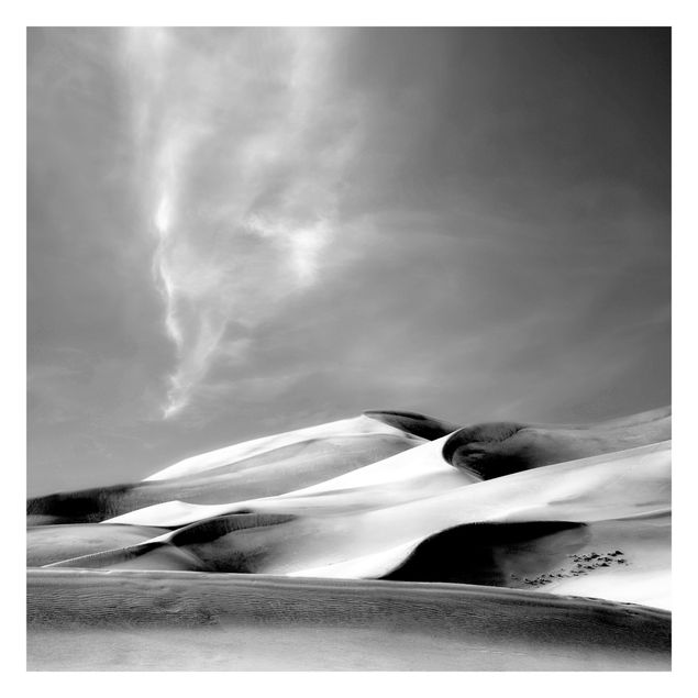 Carta da parati - Dune del Colorado in bianco e nero