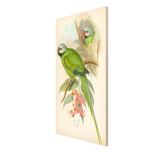 Lavagna magnetica - Illustrazione Vintage Tropical Birds II - Formato verticale 4:3
