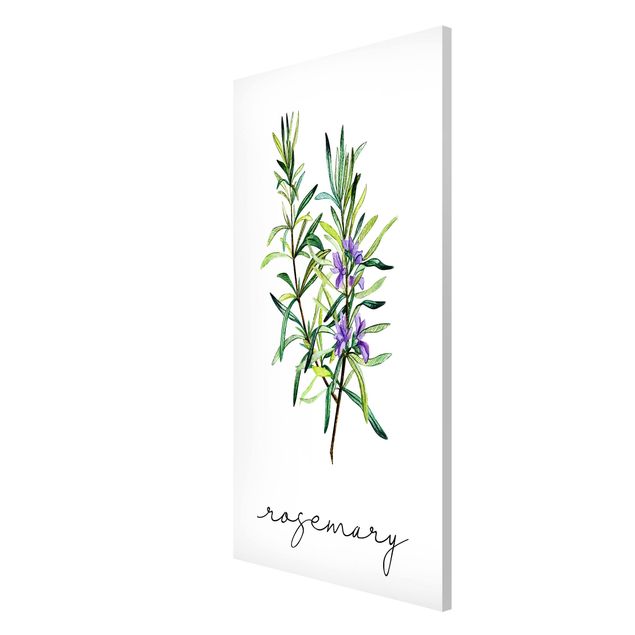 Lavagna magnetica - Illustrazione di erbe aromatiche rosmarino