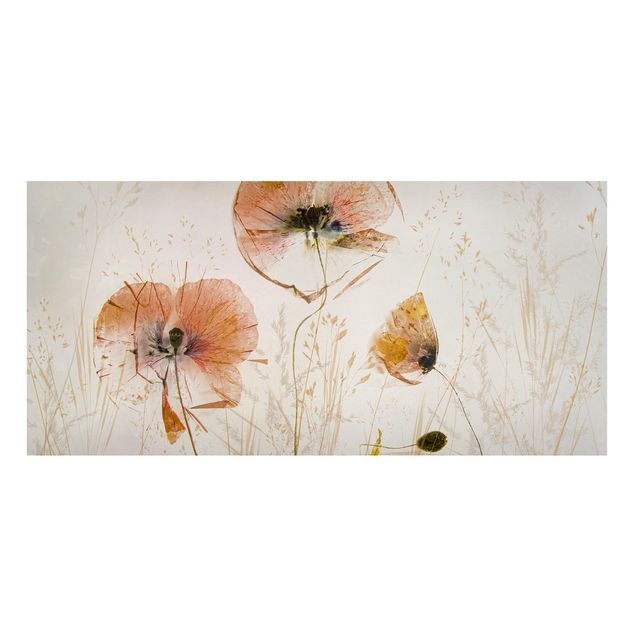 Lavagna magnetica - Papaveri secchi con erbe delicate